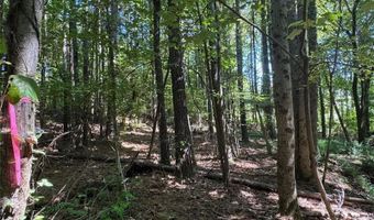 63 Hickory Crk, Acworth, GA 30101