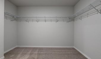336 Bushwack Dr Plan: Alexis, Adkins, TX 78101