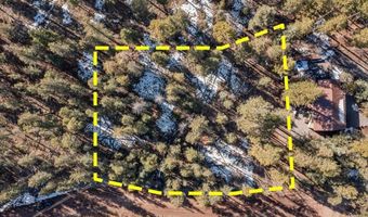 9 County Rd 2073, Alpine, AZ 85920