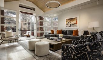 704 E Hyman Ave, Aspen, CO 81611