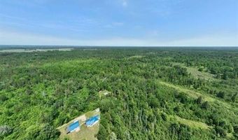 6002 Wildwood, Alger, MI 48610