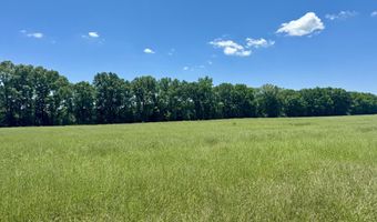 000001 Johnson Line Rd, Bolton, MS 39041