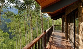 6770 Castle Creek Rd, Aspen, CO 81611