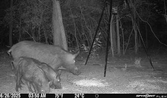 Tbd I-45, Teague, TX 75860