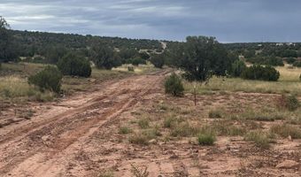 N8485, Concho, AZ 85924