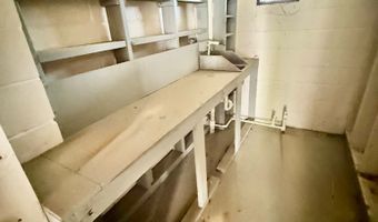 1034 Ga Hwy 30, Alamo, GA 30410