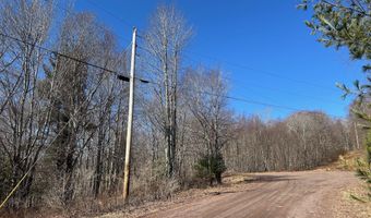 L21.1 Alder Pond Road, Andes, NY 13740