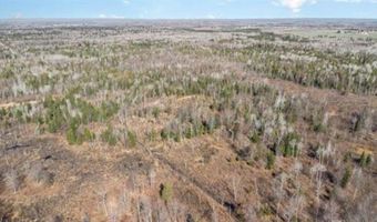 6002 Wildwood, Alger, MI 48610