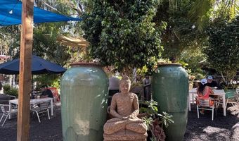2021 Paulele Pl, Kihei, HI 96753