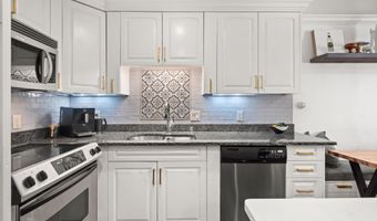 100 E Dean St 2D, Aspen, CO 81611