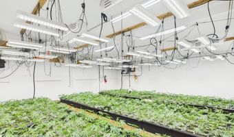 Fickle Hill Road, Arcata, CA 95521