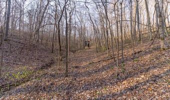 4376 Highway BB, Annapolis, MO 63620