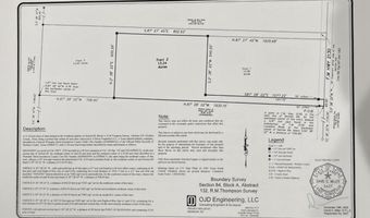 FM 2130, Anton, TX 79313