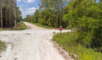 TBD 65th St, Bell, FL 32619