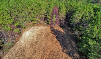 0 County Road 127, Banks, AL 36005