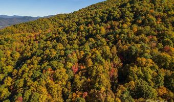 99999 Harwood Rd, Barnardsville, NC 28709