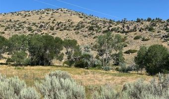 TBD Wall St 14, Cody, WY 82414
