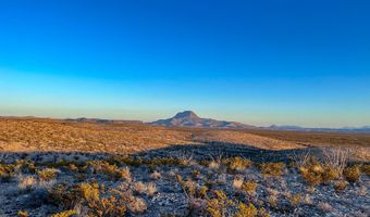 ERR State Hwy 118 S, Alpine, TX 79830