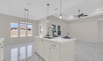 433 Serg Loop, Alamo, TX 78516