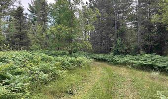 TBD Four Corners, Amasa, MI 49903