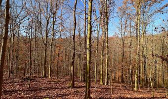 0 State Route 550, Amesville, OH 45711