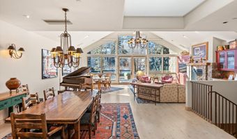 990 E Hopkins Ave, Aspen, CO 81611
