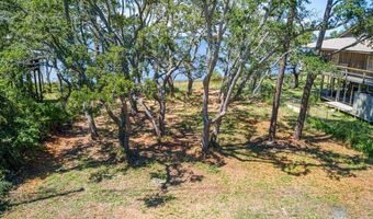 175 Harbor Cir, Alligator Point, FL 32346