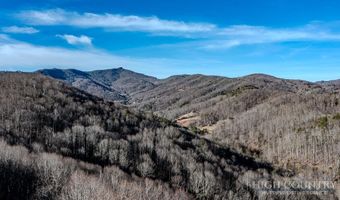 Little Tree Lane, Banner Elk, NC 28604