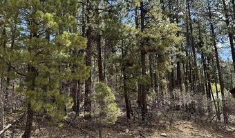 216 Fawn Dr, Bayfield, CO 81122