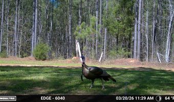 Highway 28, Abbeville, SC 29620