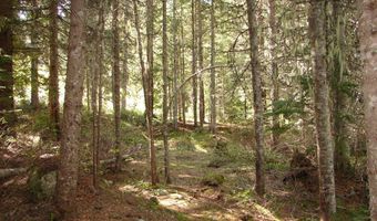 Nna S Smith Creek Rd, Bonners Ferry, ID 83805