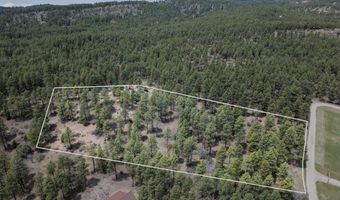 135 Meadow Ln, Bayfield, CO 81122