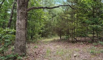 17585 Co Rd #Af-304, Ava, MO 65608