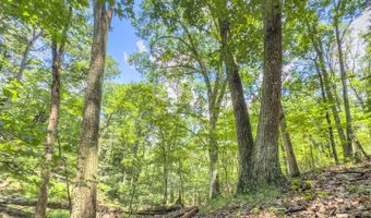 1393 Woodland Mountain Trl, Augusta, WV 26704
