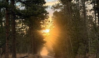892 Stratton Park Rd, Bellvue, CO 80512