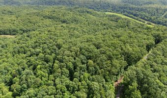 2401 Bell Point Rd, Beattyville, KY 41311