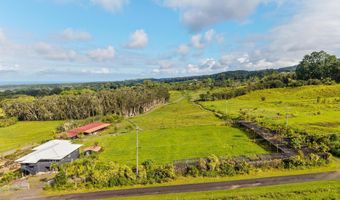 CHIN CHUCK RD, Hakalau, HI 96710