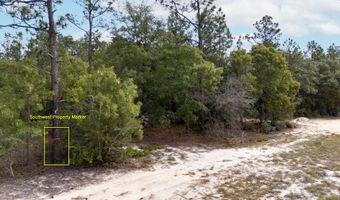 Homestead Road, Baker, FL 32531