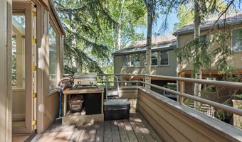 100 N 8th Street 24, Aspen, CO 81611