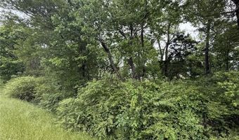 SW 3rd ST, Atkins, AR 72823
