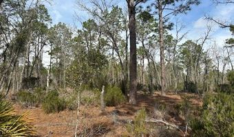 NW County Road 236, Bell, FL 32619
