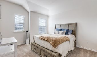 736 Lone Rock Dr, Anna, TX 75409