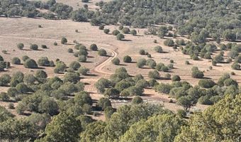 219 N 8716, Concho, AZ 85924