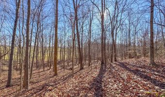 33056 Weaver Church Rd, Albany, OH 45710