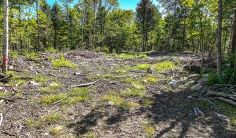 Sawyer Notch Road lot 39, Andover, ME 04216