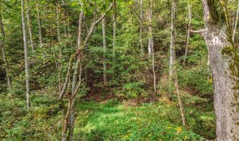 19 Woodchuck Cove Way, Alexander, NC 28701