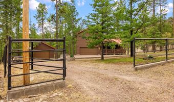 9 Co Rd 2074 # 2074, Alpine, AZ 85920