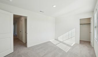 10644 Harlequinn Plan: Apollo, Adkins, TX 78101