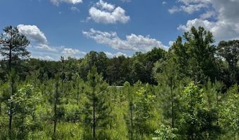 Mini Ball Lane, Appomattox, VA 24522