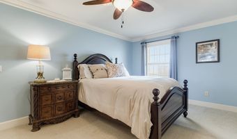 530 MS-15, Blue Mountain, MS 38610
